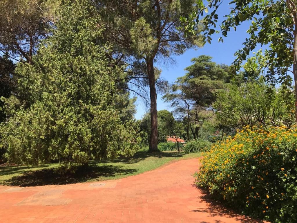 蒙德罗Park House Mini公寓 外观 照片